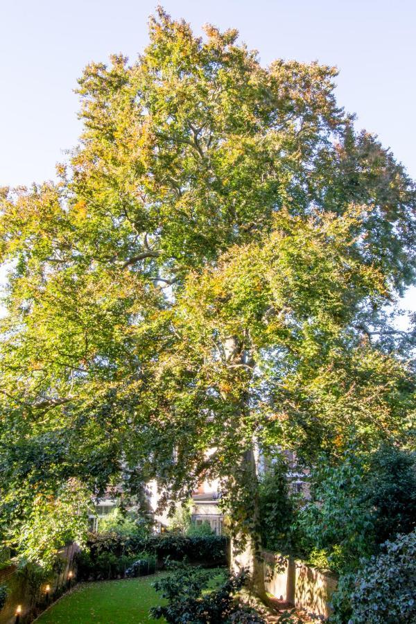 The Old Beech Bed & Breakfast Antwerpen Eksteriør bilde